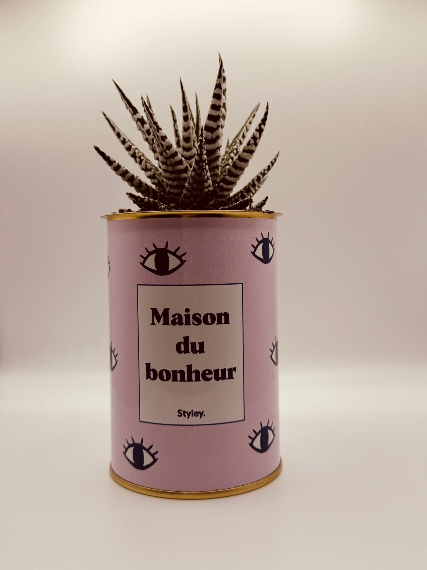 Cactus Styley - Maison du bonheur